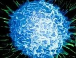 'Ömür uzatan' prostat ilacı onay bekliyor 'Ömür uzatan' prostat ilacı onay bekliyor